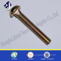 8.8 Carriage Bolt Ts16949